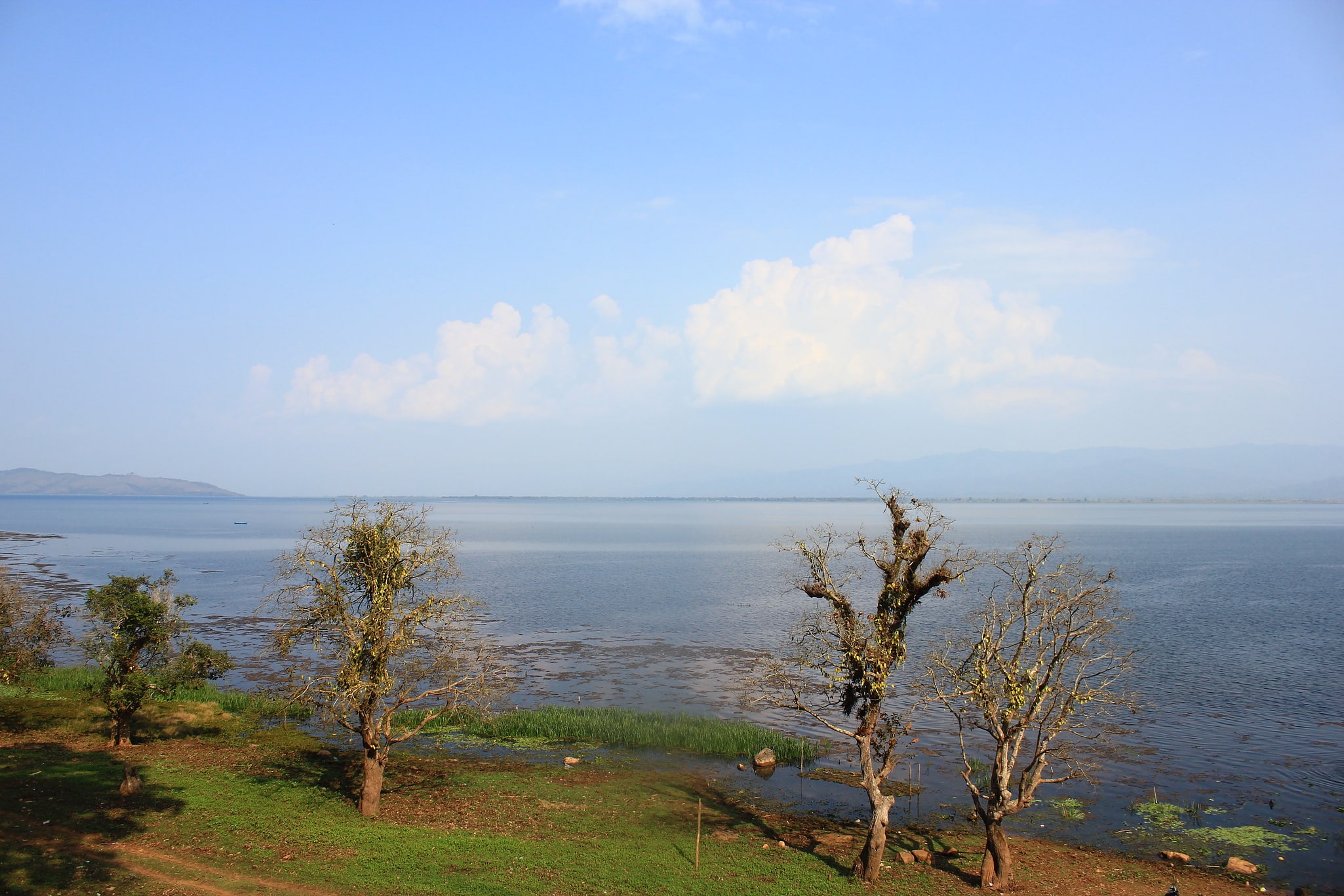 Sanktuarium Dzikiej Przyrody Indawgyi Lake, Mjanma (Birma)