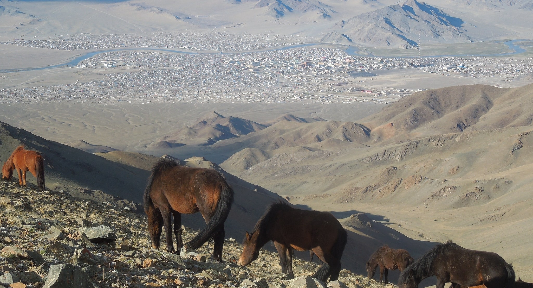 Ölgii, Mongolie