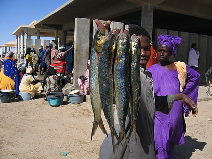 mercado de pescado de nuakchot
