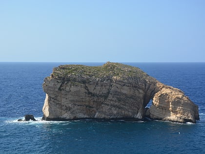 Fungus Rock