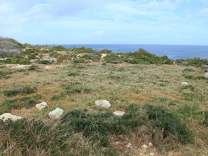 Xrobb l-Għaġin Temple