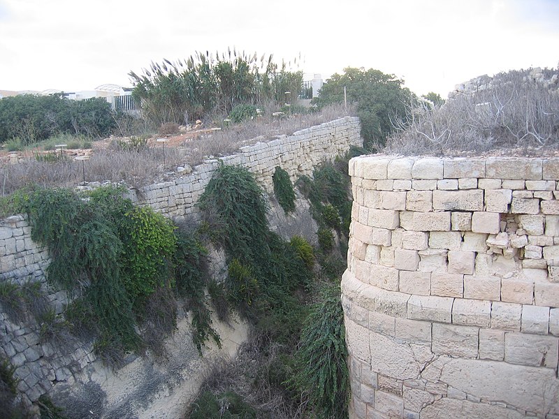 Delle Grazie Battery