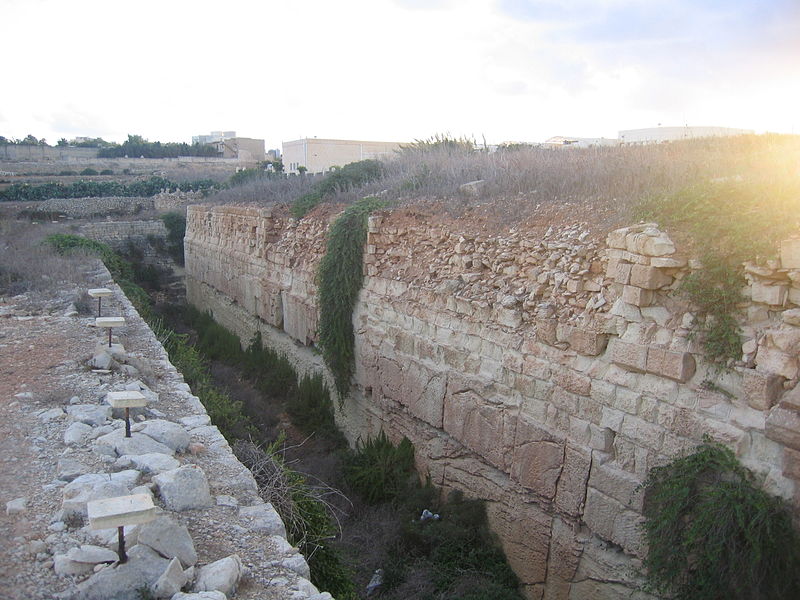 Delle Grazie Battery