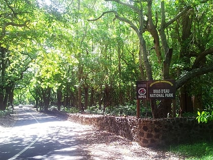 parc national de bras deau mauritius