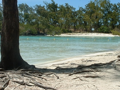 ile aux cerfs centre de flacq