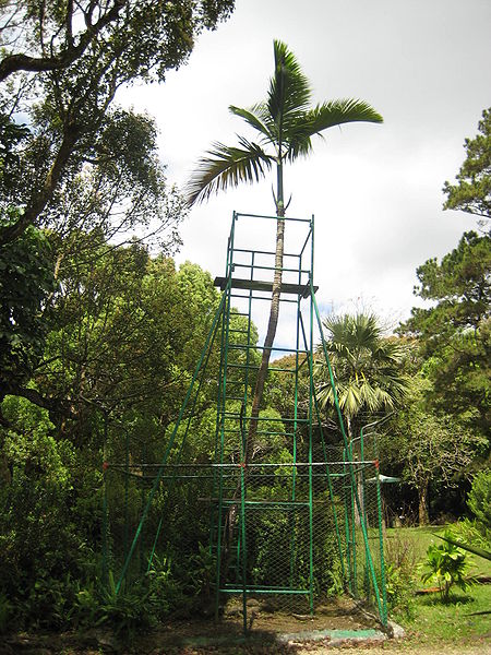 Curepipe Botanic Gardens