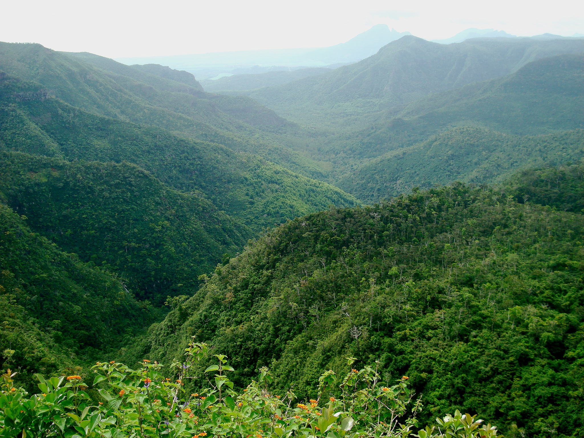Parque nacional Gargantas del Río Negro, Mauricio