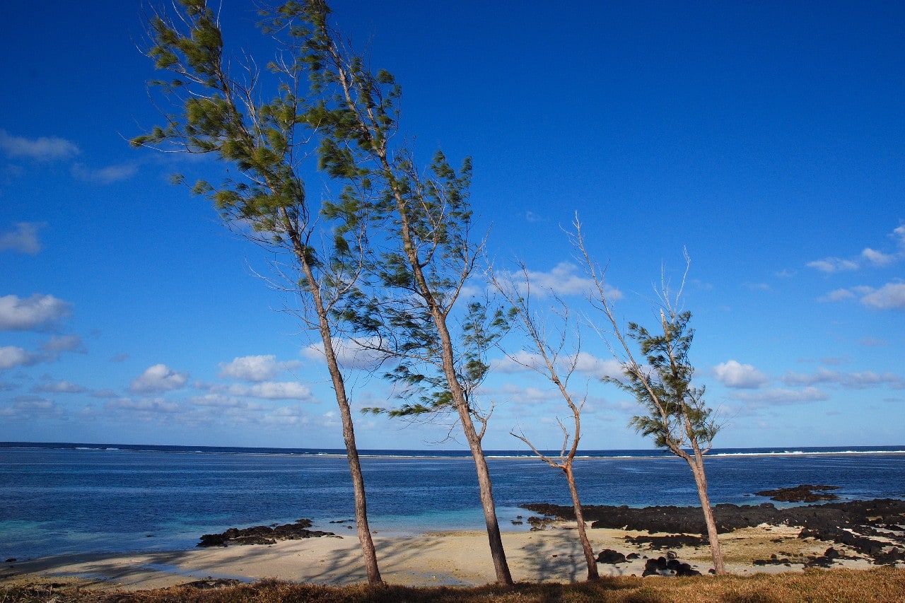 Centre de Flacq, Mauritius