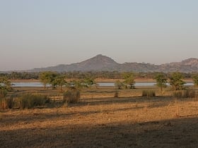 Vwaza Marsh Game Reserve