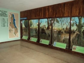 Museum of Malawi