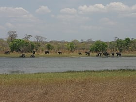 Kasungu-Nationalpark