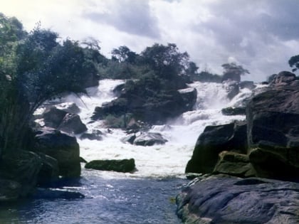 kapichira falls rezerwat dzikich zwierzat majete