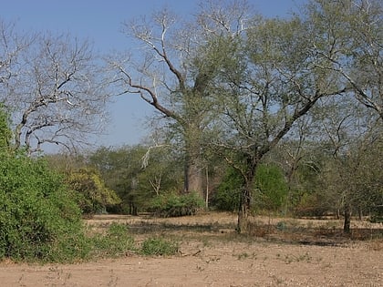 Lengwe-Nationalpark