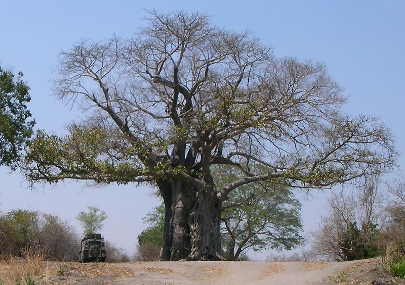 Liwonde-Nationalpark