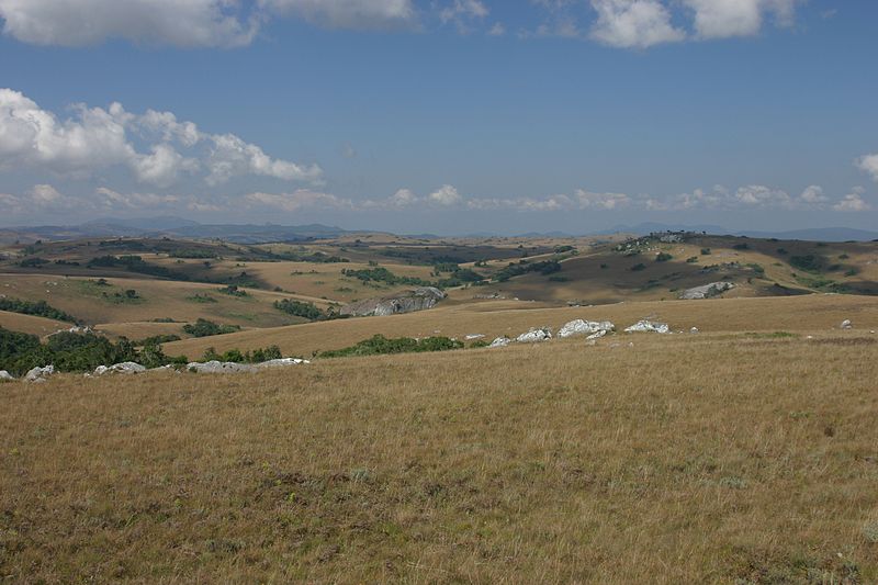 Parc national de Nyika