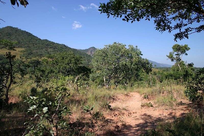 Parc national de Nyika