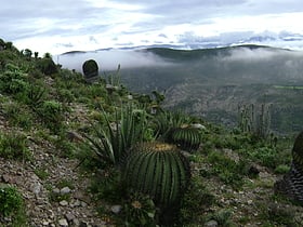 Tehuacán-Cuicatlán Biosphere Reserve