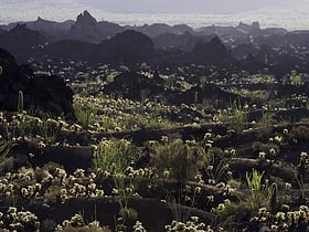 reserve de biosphere el pinacate et le grand desert daltar