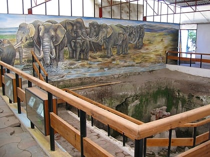 paleontological museum in tocuila texcoco