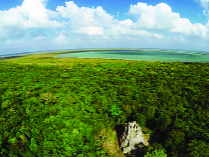 Mayan Corridor mangroves