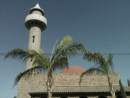 suraya mosque torreon