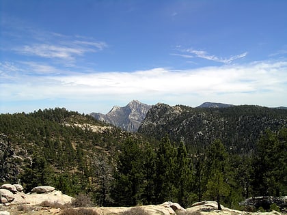 Cerro de La Encantada