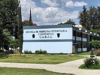 benito juarez autonomous university of oaxaca oaxaca de juarez