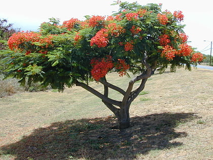 Faustino Miranda Botanical Garden