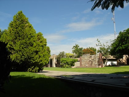 University of Colima