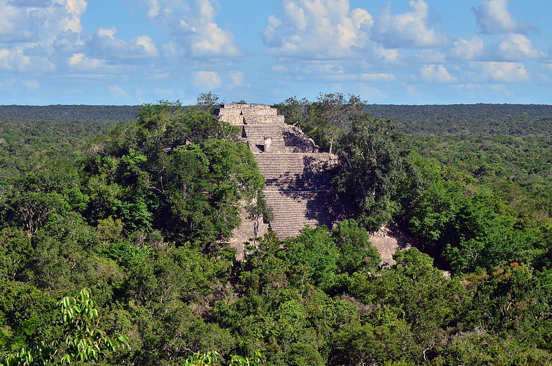 calakmul reserva de la biosfera de calakmul