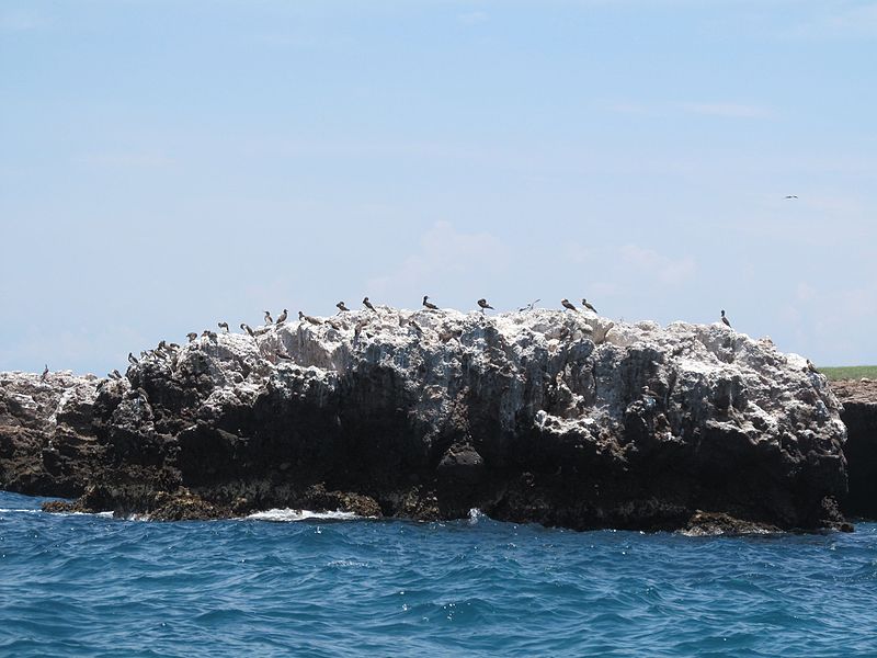 Îles Marietas