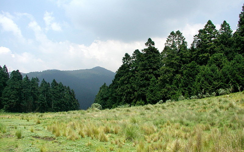 Parque nacional Cumbres del Ajusco