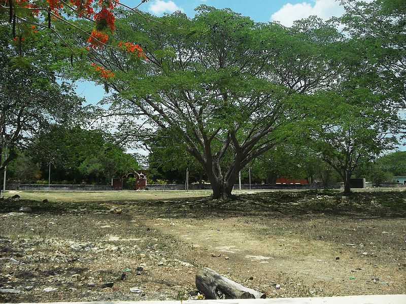 Hacienda San Pedro Chimay