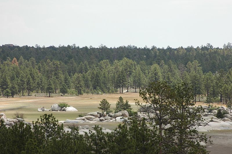 Parc national Constitución de 1857