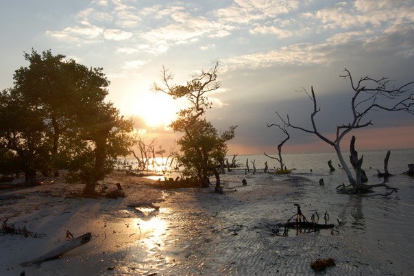 Isla Holbox