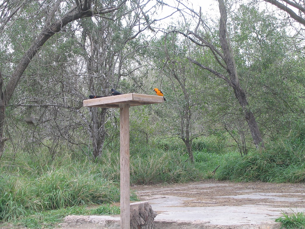 Bentsen-Rio Grande Valley State Park, Mexico