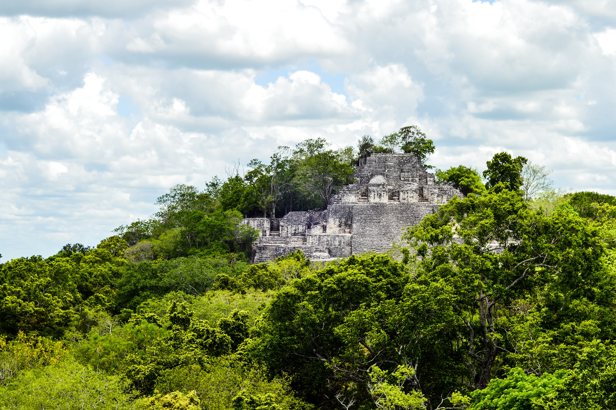 Reserva de la Biósfera Calakmul, Mexico