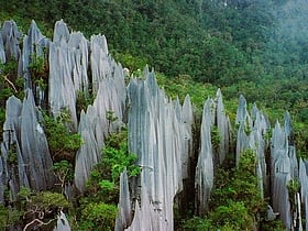 Parque nacional de Gunung Mulu