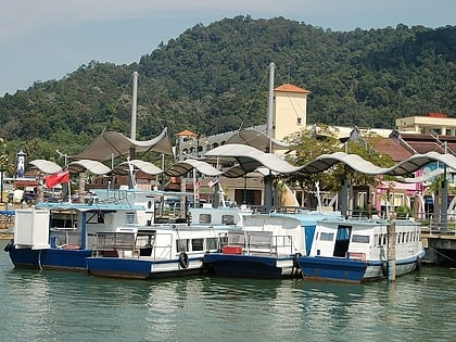 lumut