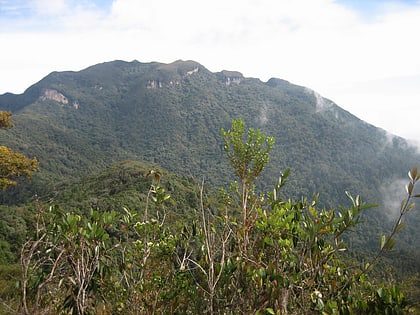 gunung tahan park narodowy taman negara