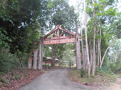 Bukit Batu Lebah Recreational Forest