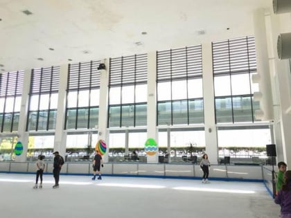 royale ice skating rink subang jaya