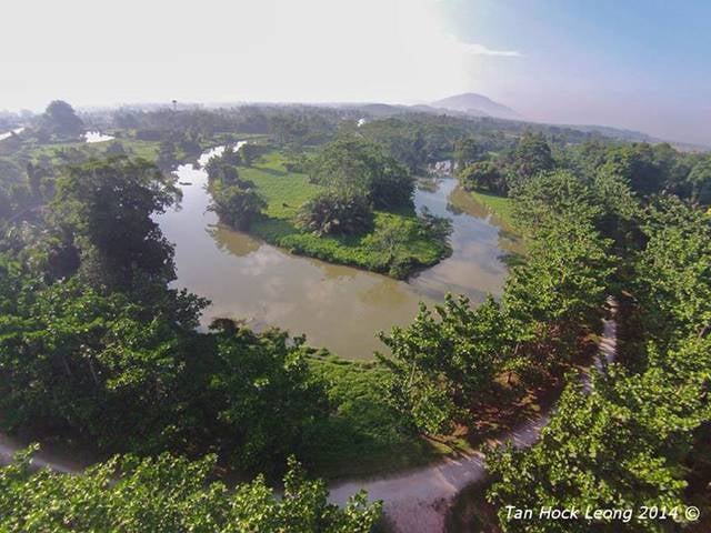 air hitam dalam educational forest tasek gelugor