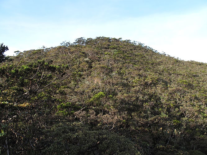 mount tambuyukon parque nacional de kinabalu