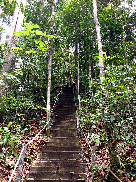 Parc national de Bukit Labir