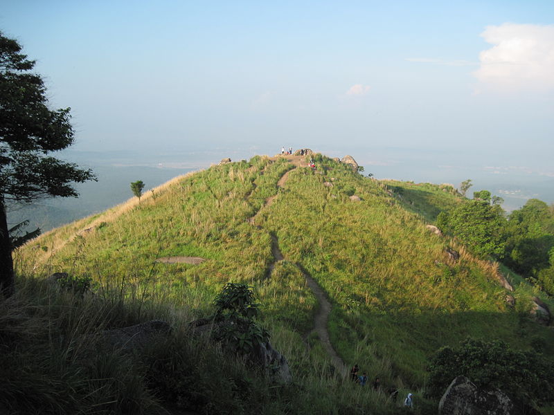 Broga