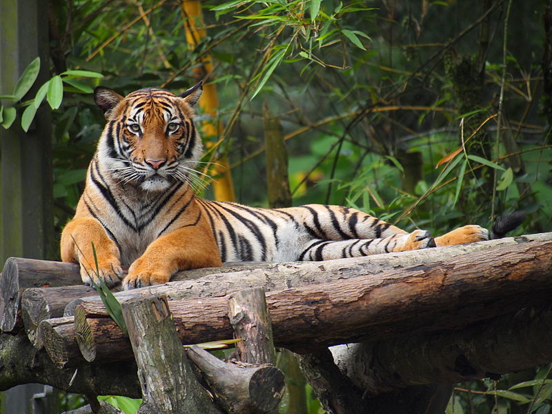 Zoológico nacional de Malasia
