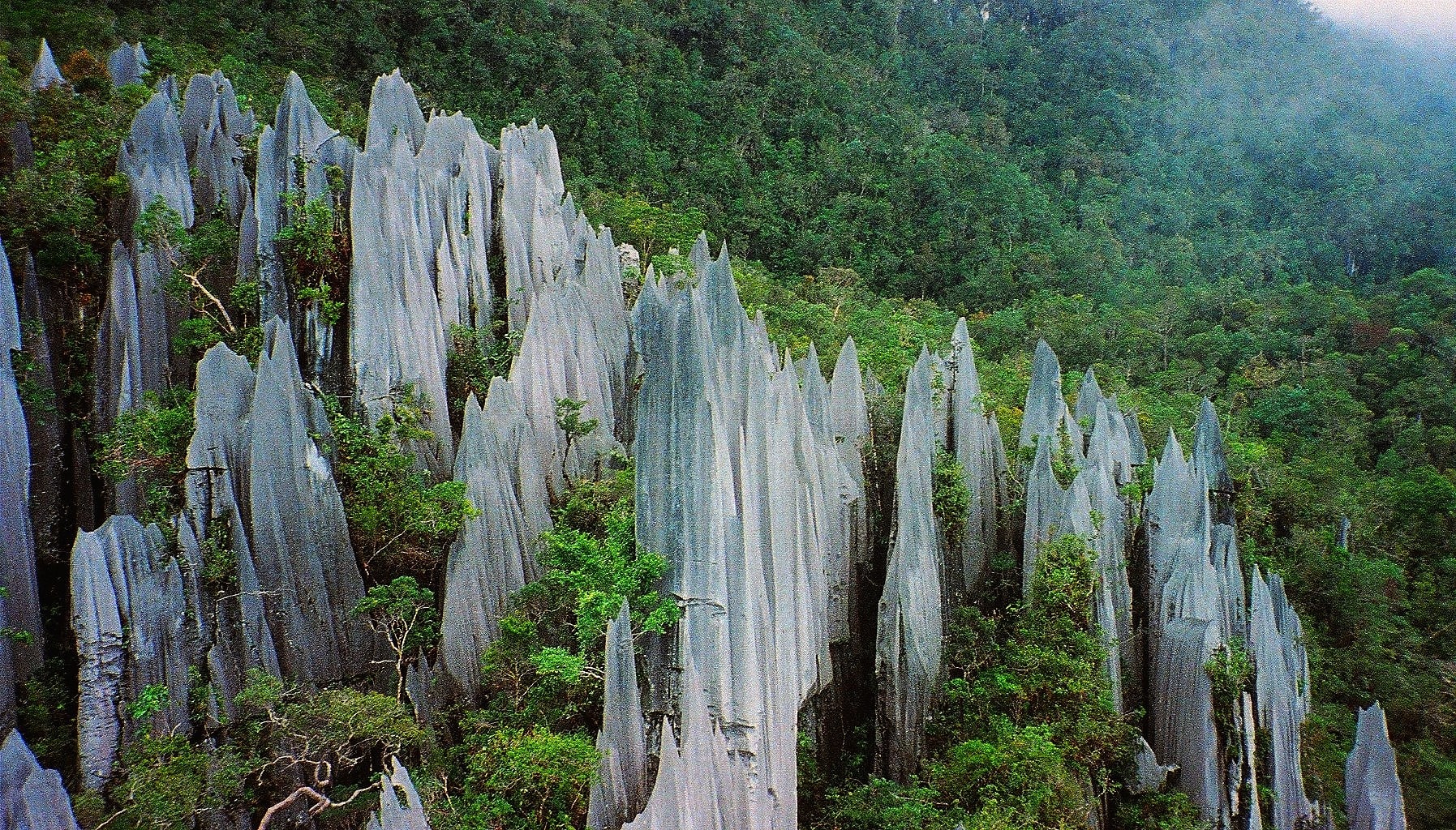 Nationalpark Gunung Mulu, Malaysia