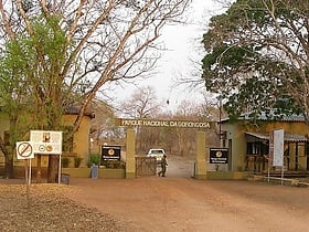 Park Narodowy Gorongosa