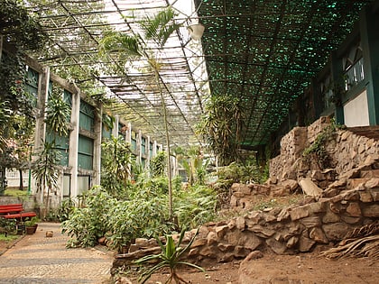 jardin tunduru maputo